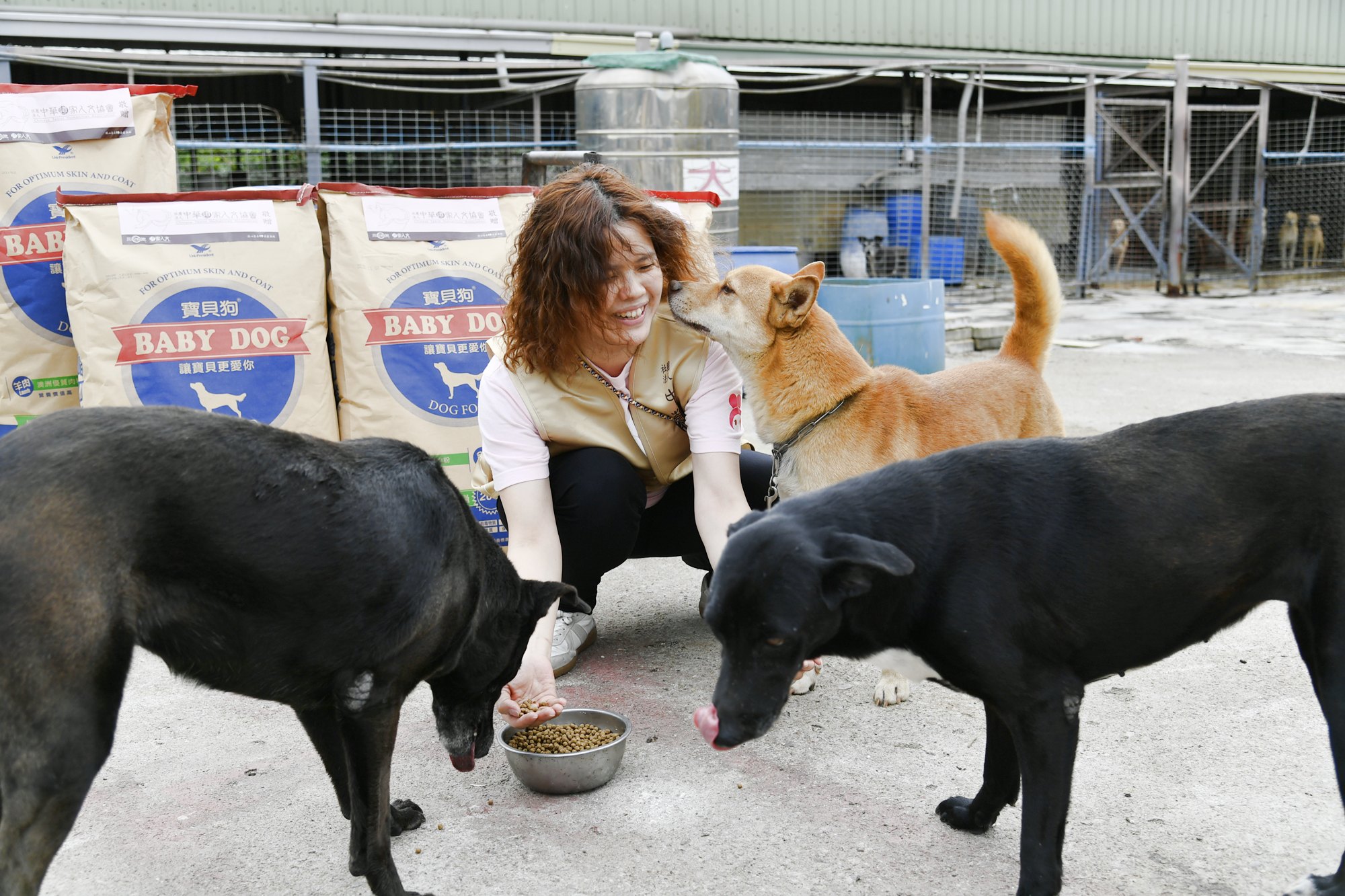 【浪浪的三餐．八年如常～台南市馬媽媽狗園關懷】